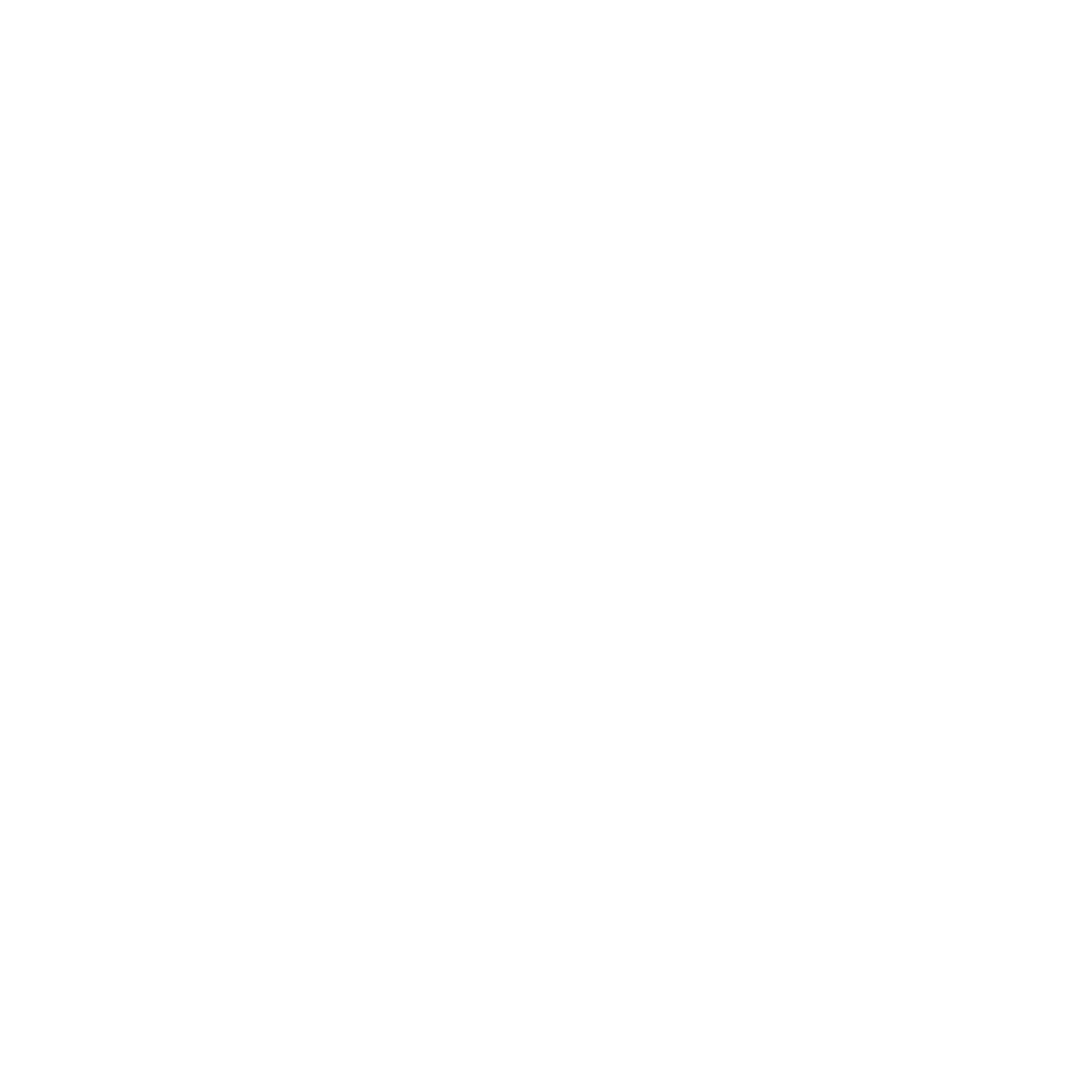 logo-button-instagram-white